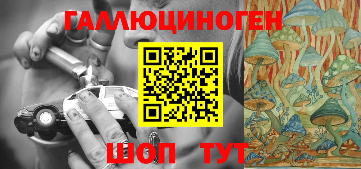 где продают   Вход с VPN  Георгиевск  Псилоцибиновые грибы прущие грибы 